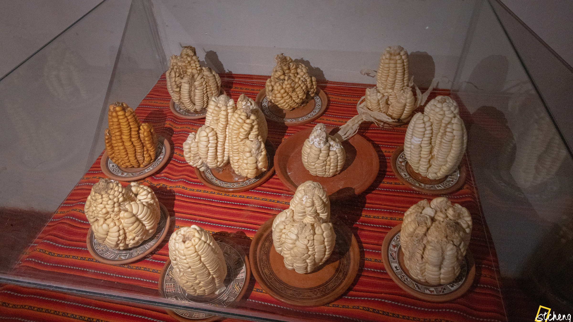 Peruvian Corn