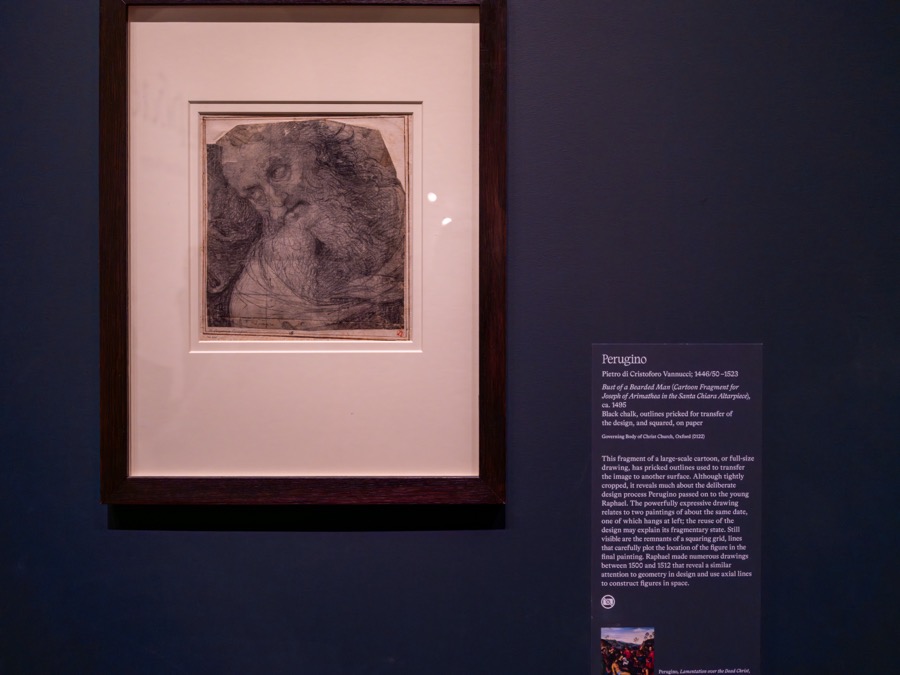 Perugino，《蓄胡男子半身像》